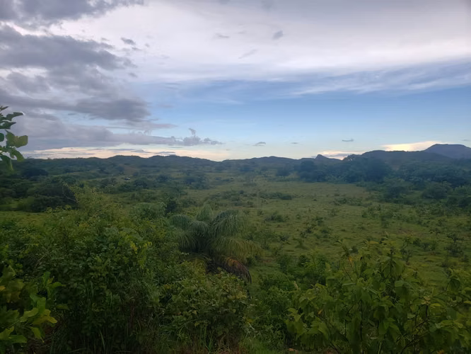 Venta de Finca en Olá, Coclé, 51 hectáreas