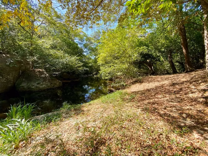 TERRENO FINCA COSTA ESMERALDA FRENTE AL RÍO TETA EN VENTA - Imagen 4