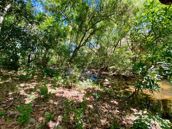 TERRENO FINCA COSTA ESMERALDA FRENTE AL RÍO TETA EN VENTA - Imagen 6