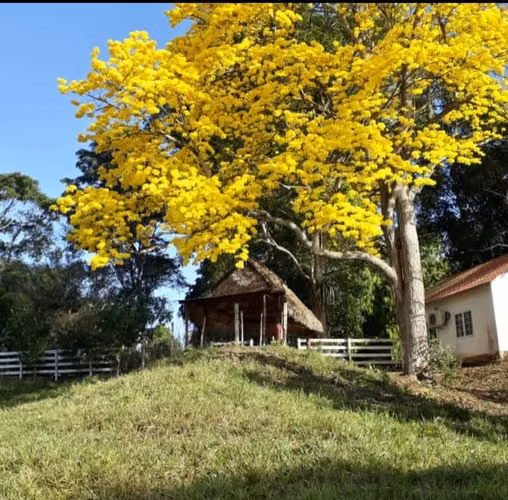 Venta de Finca en Chorrera, Panamá Oeste, 12.5 hectáreas