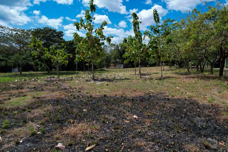 Terreno en Venta Santa Clara