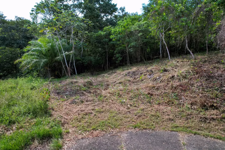 Terreno en Venta Las Cumbres