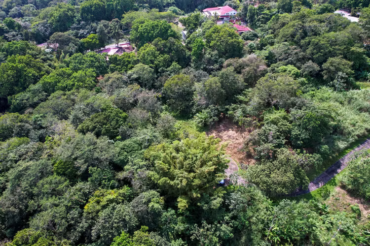 Terreno en Venta Las Cumbres
