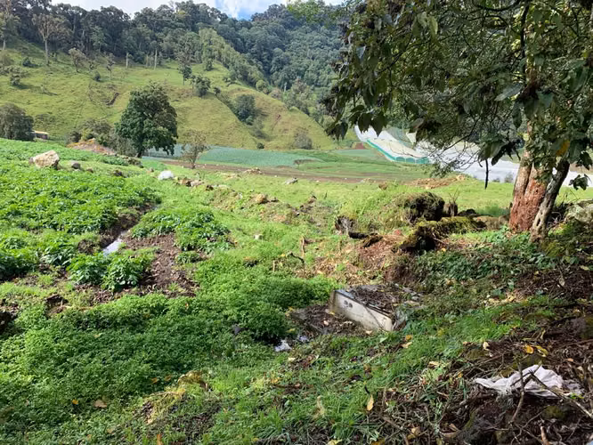 Terreno para Agricultura en Cerro Punta