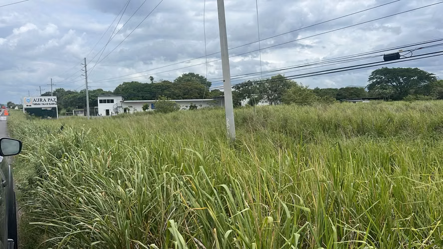 Terreno en venta sobre Vía Panamericana en Río Grande, Coclé