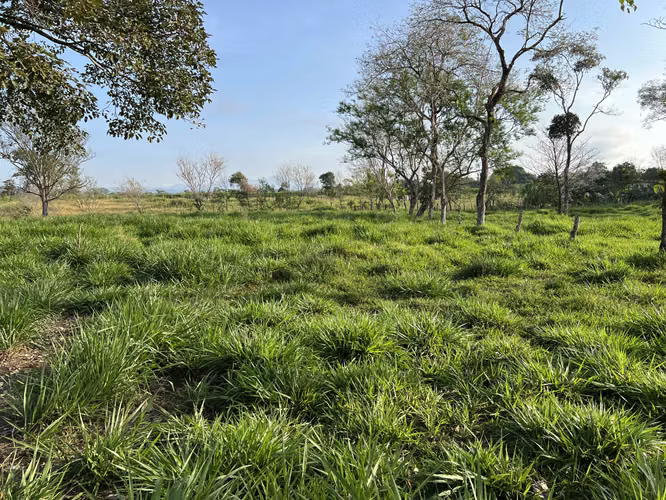 Finca en Chiriqui, El Santo, Bugaba 28 hectáreas para Lecheria