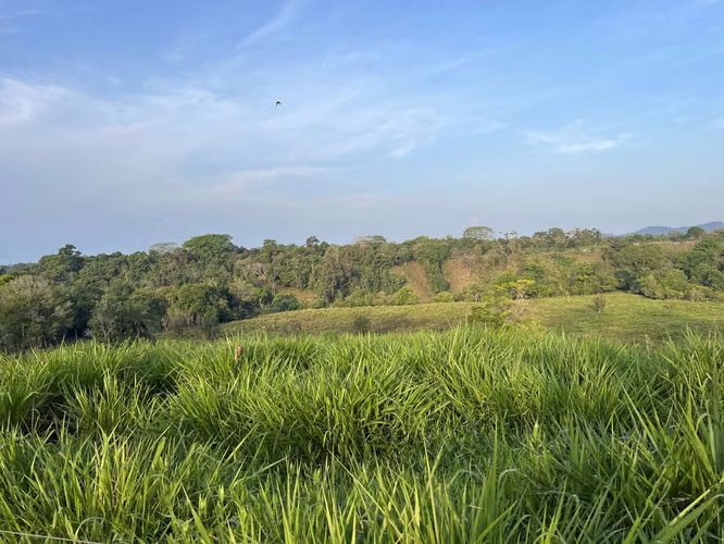 Finca en Chiriqui, El Santo, Bugaba 28 hectáreas para Lecheria