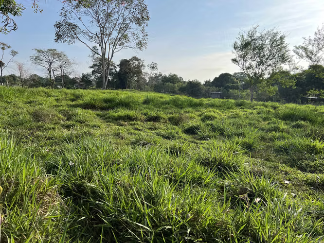 Finca en Chiriqui, El Santo, Bugaba 28 hectáreas para Lecheria