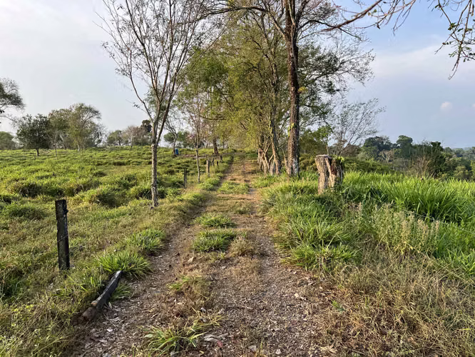 Finca en Chiriqui, El Santo, Bugaba 28 hectáreas para Lecheria