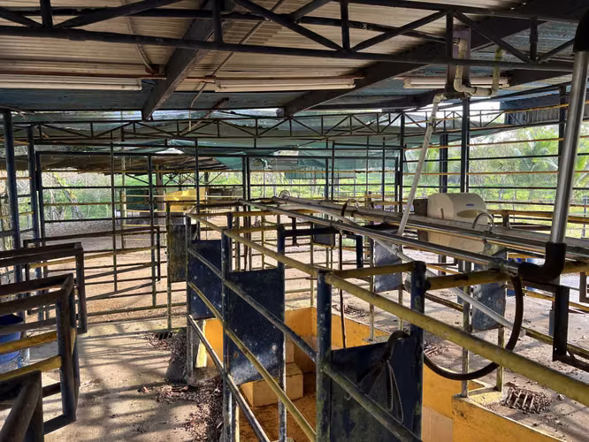 Finca en Chiriqui, El Santo, Bugaba 28 hectáreas para Lecheria