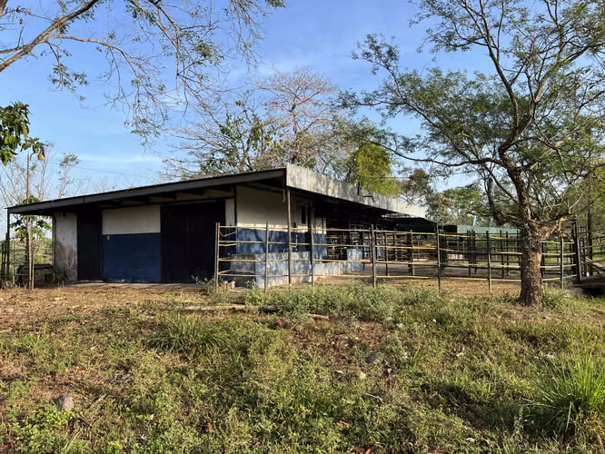 Finca en Chiriqui, El Santo, Bugaba 28 hectáreas para Lecheria