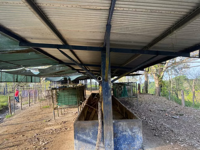 Finca en Chiriqui, El Santo, Bugaba 28 hectáreas para Lecheria