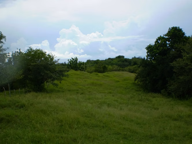 Finca de 24 Hectáreas en Boca Corona, ideal para desarrollo Turistico - Imagen 4