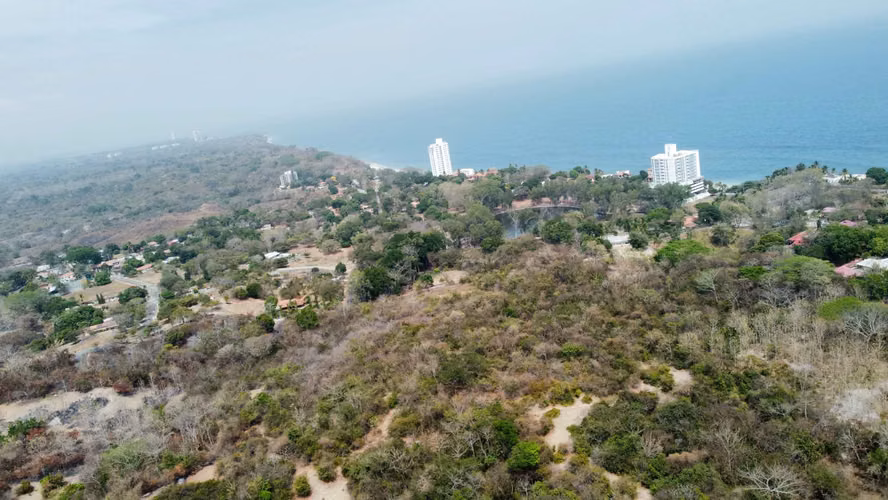 Finca de 24 Hectáreas en Boca Corona, ideal para desarrollo Turistico - Imagen 3