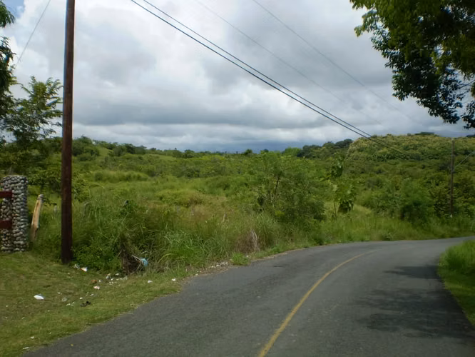 Finca de 24 Hectáreas en Boca Corona, ideal para desarrollo Turistico - Imagen 5