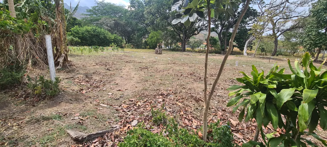 VENDO TERRENO. CAMPESTRE. CAMPO. CORONADO. PLAYA.