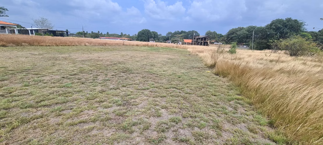 FIELD. CAMPESTRE. FIELD. CROWNED. BEACH.