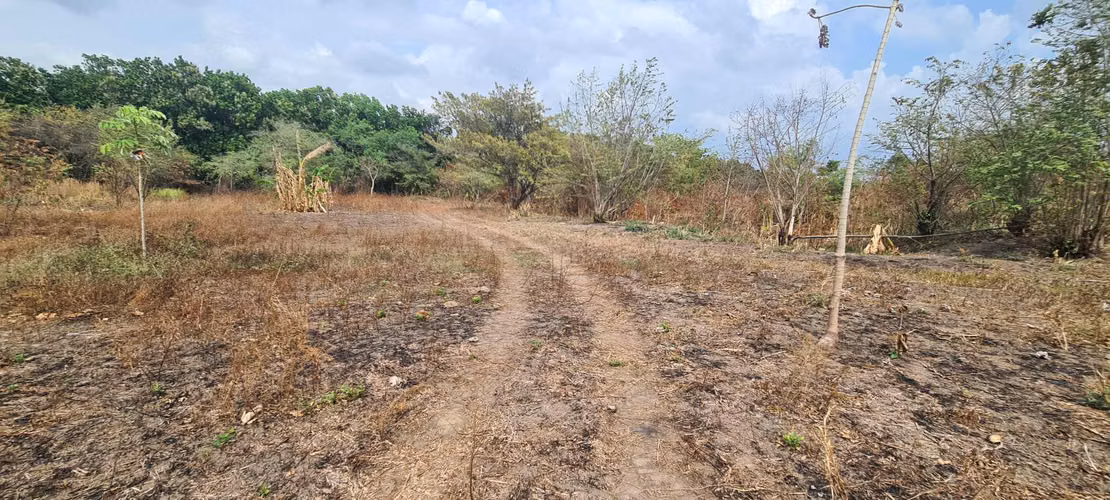 VENDO TERRENO. LAS LAJAS. CORONADO.  PLAYA. 7 HECTÁREAS.