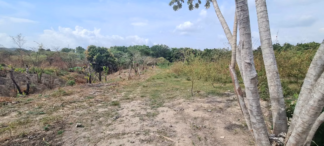 VENDO TERRENO. LAS LAJAS. CORONADO.  PLAYA. 7 HECTÁREAS.