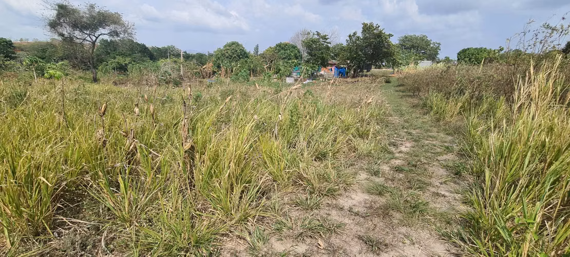 VENDO TERRENO. LAS LAJAS. CORONADO.  PLAYA. 7 HECTÁREAS.