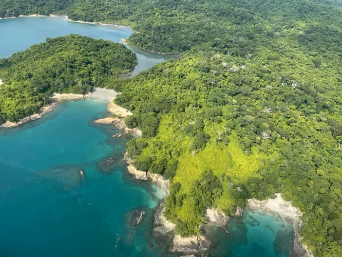 ISLA DEL REY FINCA DE 1,500 HECTÁREAS EN VENTA - Imagen 9