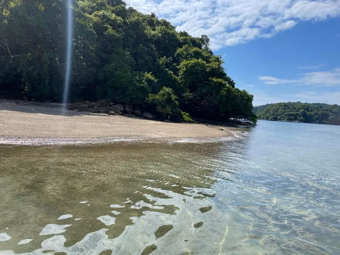 ISLA DEL REY FINCA DE 1,500 HECTÁREAS EN VENTA - Imagen 12