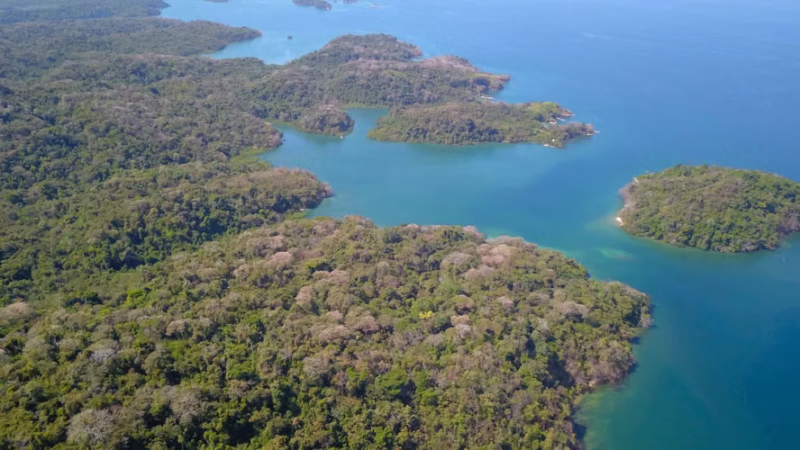 ISLA DEL REY FINCA DE 1,500 HECTÁREAS EN VENTA - Imagen 2
