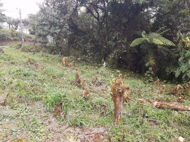 VENTA TERRENO EN ALTOS DEL MARÍA ( SORÁ)