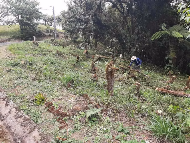 VENTA TERRENO EN ALTOS DEL MARÍA ( SORÁ)