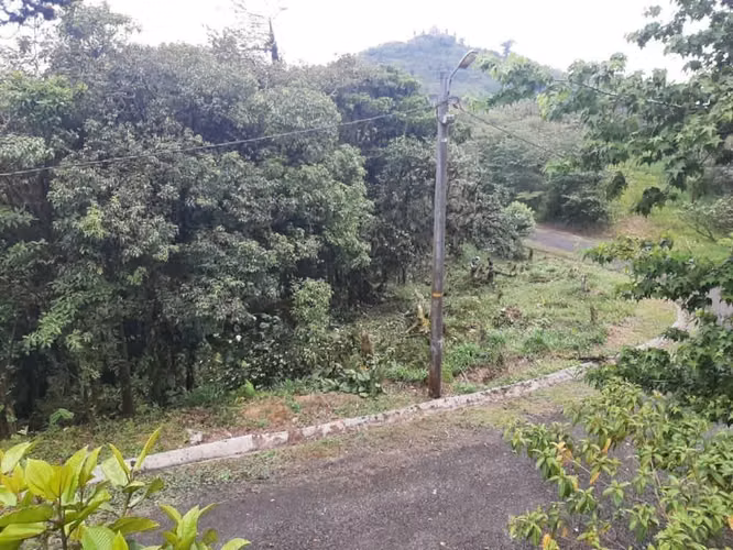 VENTA TERRENO EN ALTOS DEL MARÍA ( SORÁ)