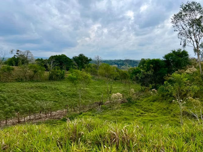 Terreno en Chiriqui, El Santo, Bugaba 1.2 hectáreas - Imagen 3