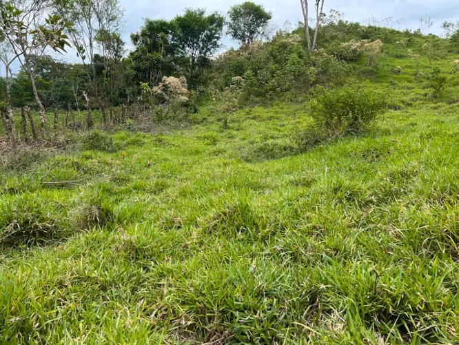 Terreno en Chiriqui, El Santo, Bugaba 1.2 hectáreas - Imagen 4