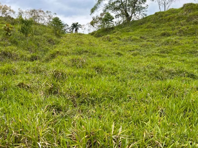 Terreno en Chiriqui, El Santo, Bugaba 1.2 hectáreas - Imagen 5