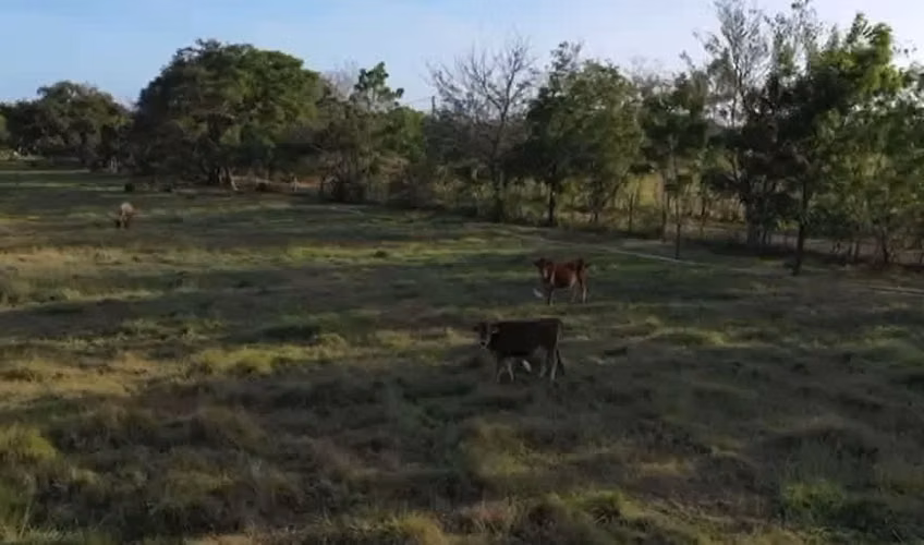 Venta de Finca en Santa Ana, Los Santos, 3.2 hectáreas