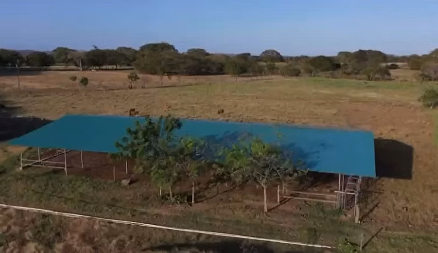 Venta de Finca en Santa Ana, Los Santos, 3.2 hectáreas