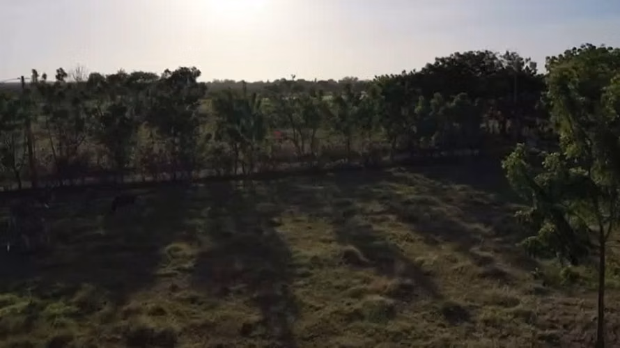 Venta de Finca en Santa Ana, Los Santos, 3.2 hectáreas