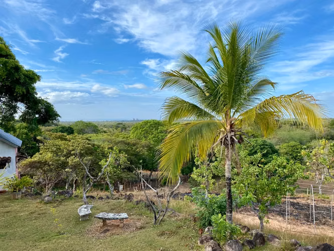FINCA EN VENTA RODEO VIEJO SAN CARLOS CON VISTAS AL MAR - Imagen 10