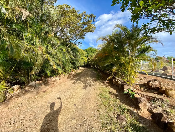 FINCA EN VENTA RODEO VIEJO SAN CARLOS CON VISTAS AL MAR - Imagen 4
