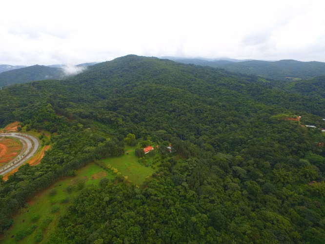 SE VENDE TERRENO 50 Ha EN LA PRIMAVERA, PMA NORTE  $10 millones