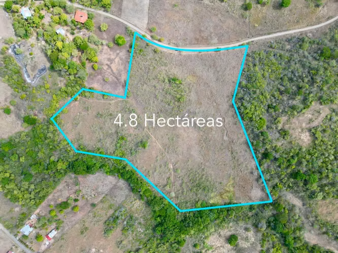 FINCAS DE 4.3 Y 4.9 HAS EN CERRO GORDO SAN JOSÉ SAN CARLOS EN VENTA