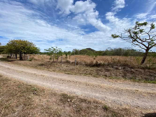 FINCAS DE 4.3 Y 4.9 HAS EN CERRO GORDO SAN JOSÉ SAN CARLOS EN VENTA