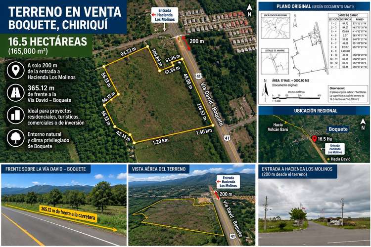 16.5HA, 365.12M FRENTE VÍA BOQUETE, A 200 M ENTRADA H. LOS MOLINOS