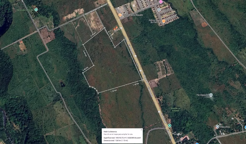 16.5Ha Boquete – 365.12 m. Frente Vía Boquete, Negociable - Imagen 4