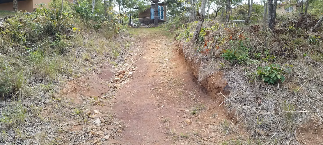 Finca de 4 hectareas en Las Minas, Herrera