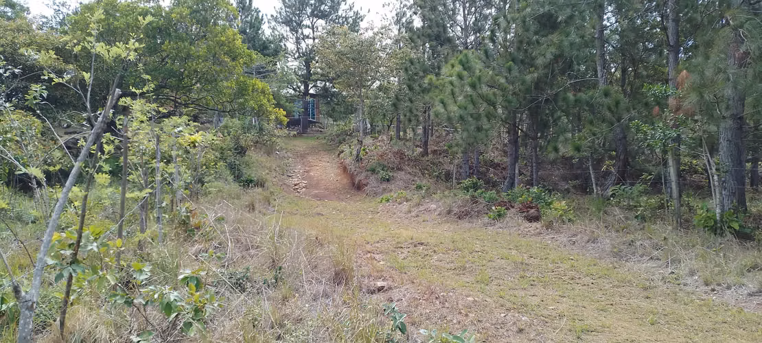 Finca de 4 hectareas en Las Minas, Herrera