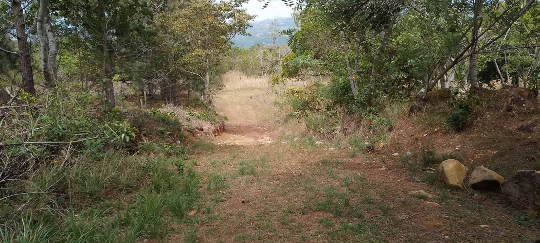 Finca de 4 hectareas en Las Minas, Herrera