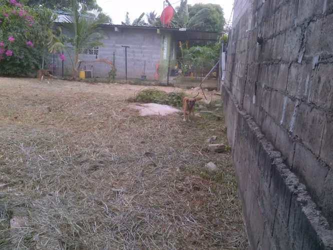 VENTA DE TERRENO CON CASA EN CIUDAD RADIAL JUAN DIAZ