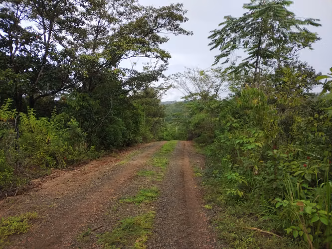 Venta de terreno en Torio - Ideal para desarrollo turístico