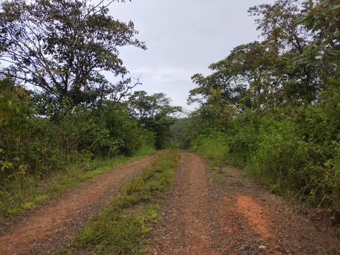 Venta de terreno en Torio - Ideal para desarrollo turístico