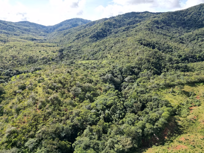 Venta de terreno en Torio - Ideal para desarrollo turístico